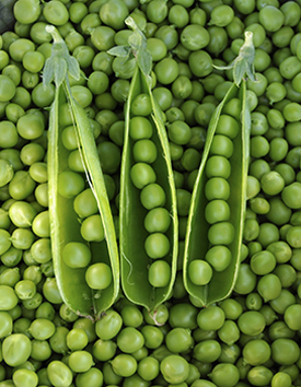 Peas